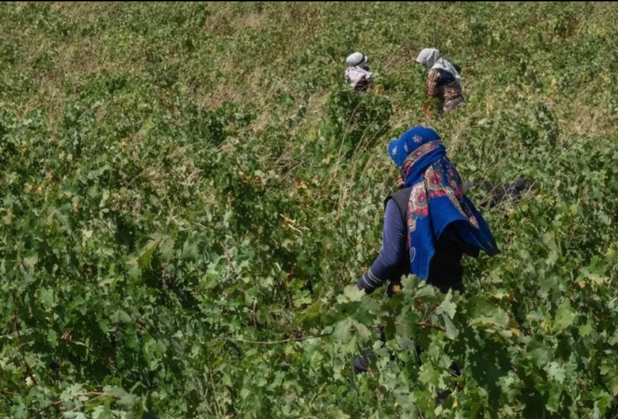 El Sabaan Photography